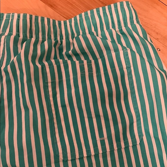 Green and White Striped Men Bathing Suit - Picture 7 of 8
